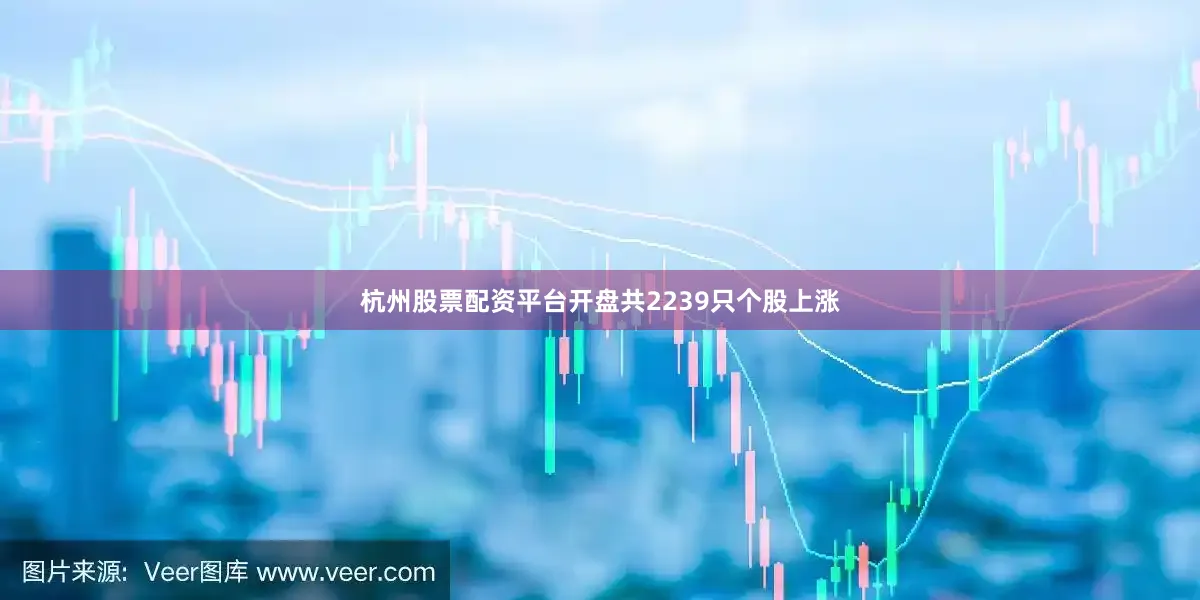 杭州股票配资平台开盘共2239只个股上涨