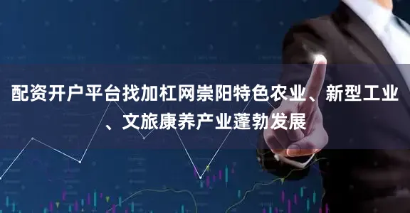 配资开户平台找加杠网崇阳特色农业、新型工业、文旅康养产业蓬勃发展