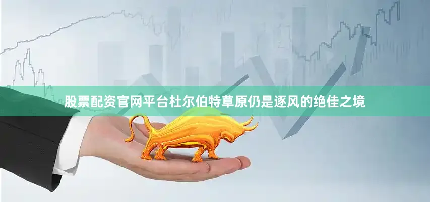 股票配资官网平台杜尔伯特草原仍是逐风的绝佳之境